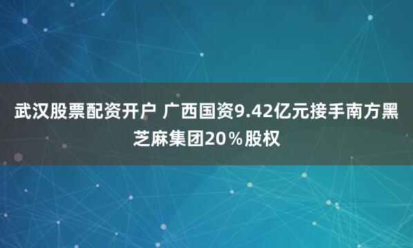 武汉股票配资开户 广西国资9.42亿元接手南方黑芝麻集团20％股权