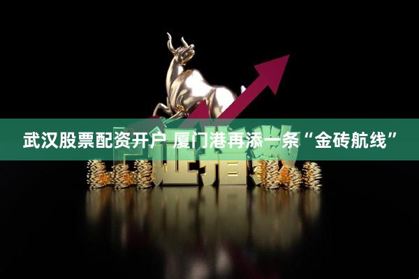 武汉股票配资开户 厦门港再添一条“金砖航线”