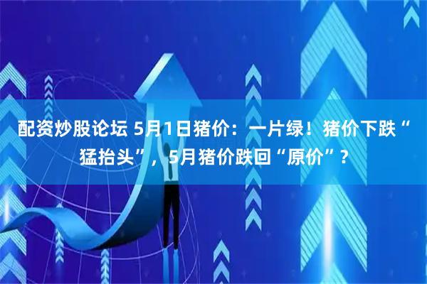 配资炒股论坛 5月1日猪价：一片绿！猪价下跌“猛抬头”，5月猪价跌回“原价”？